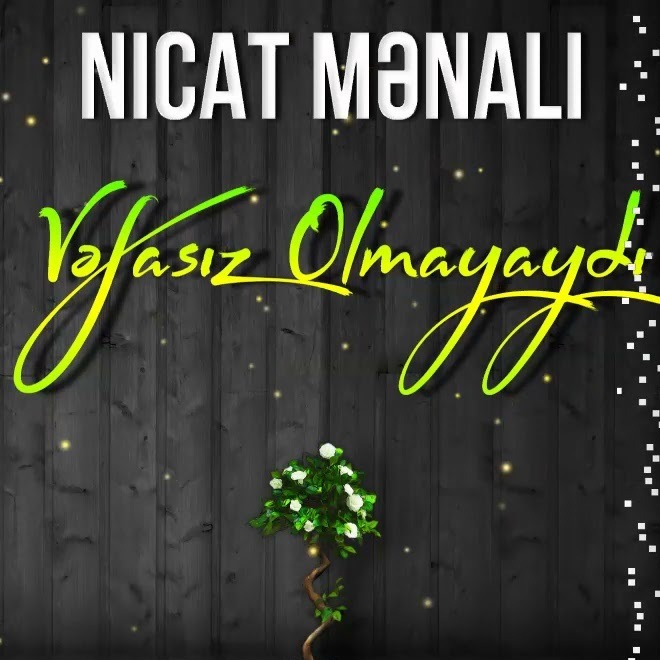 دانلود آهنگ ترکی نیجات منالی بنام وفاسیز اولمایایدی